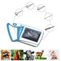 Aj-6100p Vet/ Veterinary Full Digital Palm Type Ultrasound Scanner with Built-in Li-Battery